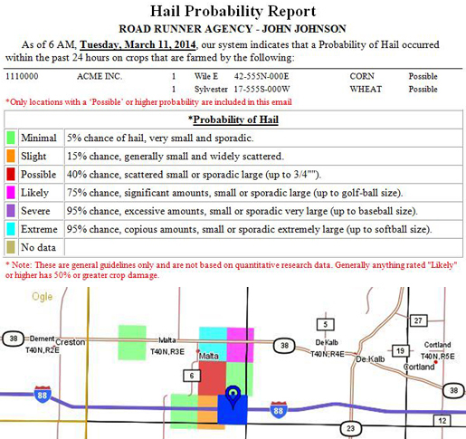 Hail Report Example